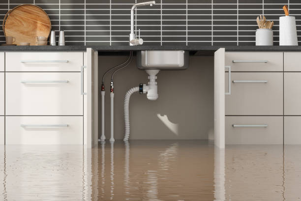 Best Local water damage restoration  in USA